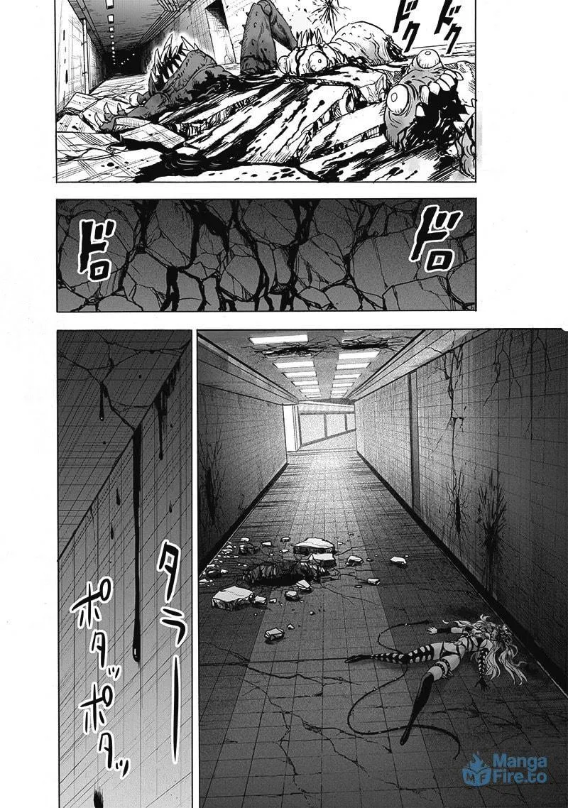 Read One-Punch Man (Fan Colored) (Colored) chapter 113 image 2 on Lezhin