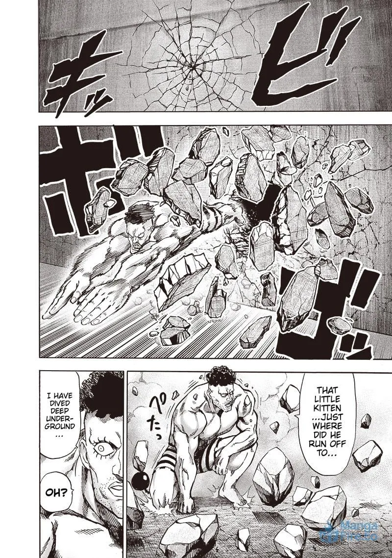 Read One-Punch Man (Fan Colored) (Colored) chapter 115 image 2 on Lezhin
