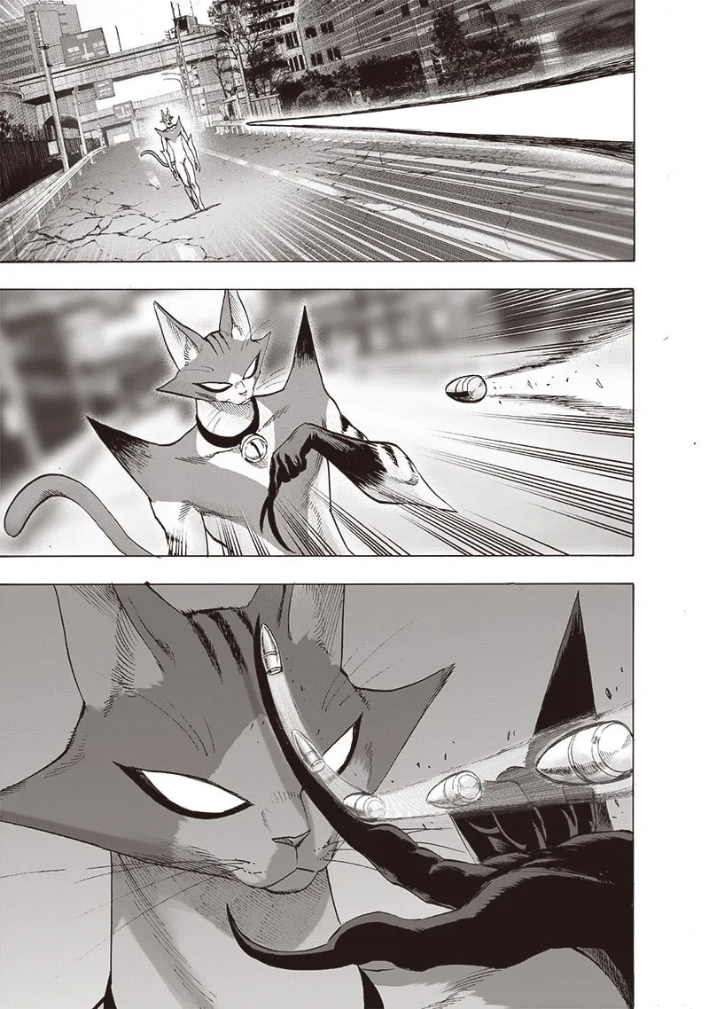 Read One-Punch Man (Fan Colored) (Colored) chapter 116 image 6 on Lezhin