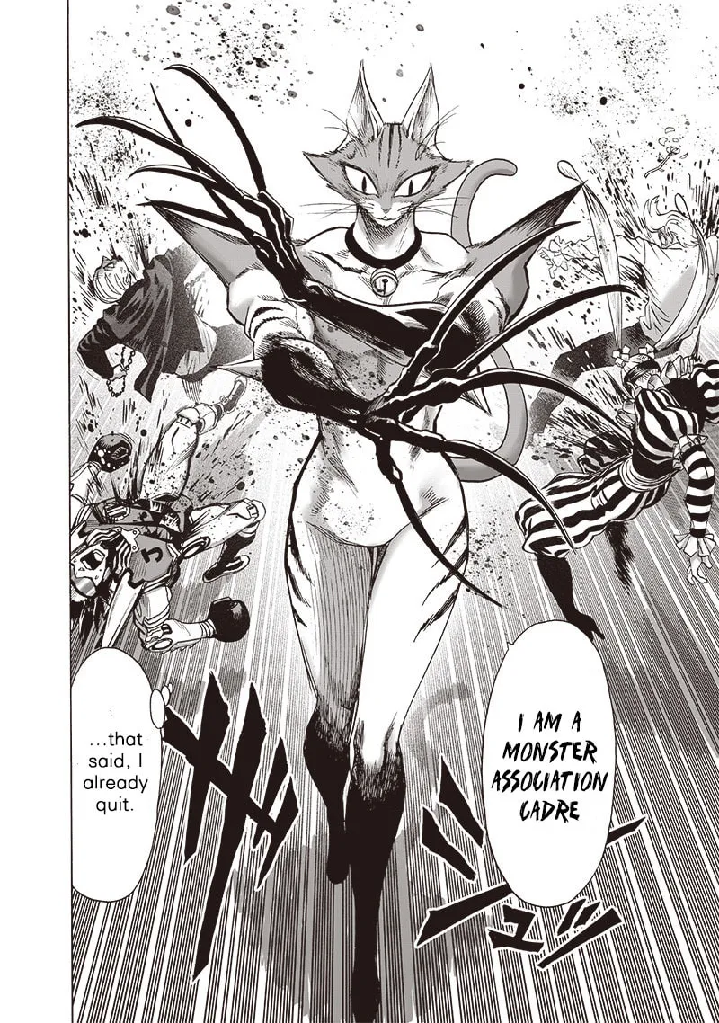Read One-Punch Man (Fan Colored) (Colored) chapter 116 image 9 on Lezhin