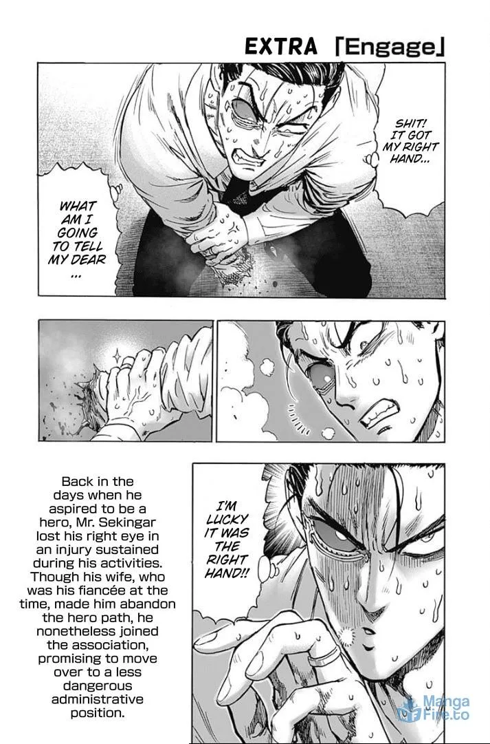 Read One-Punch Man (Fan Colored) (Colored) chapter 121.5 image 4 on Lezhin
