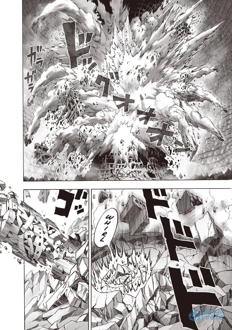 Read One-Punch Man (Fan Colored) (Colored) chapter 124 image 8 on Lezhin