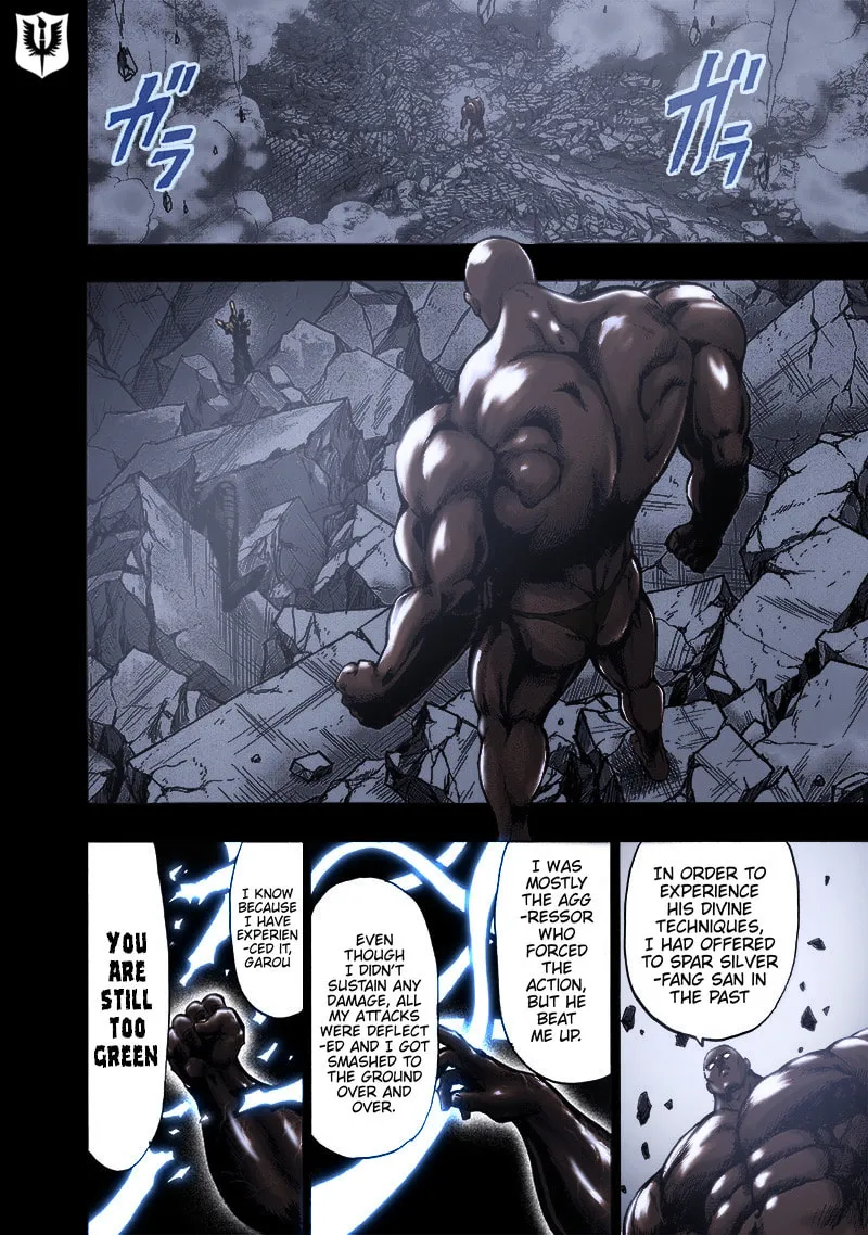 Read One-Punch Man (Fan Colored) (Colored) chapter 127 image 22 on Lezhin