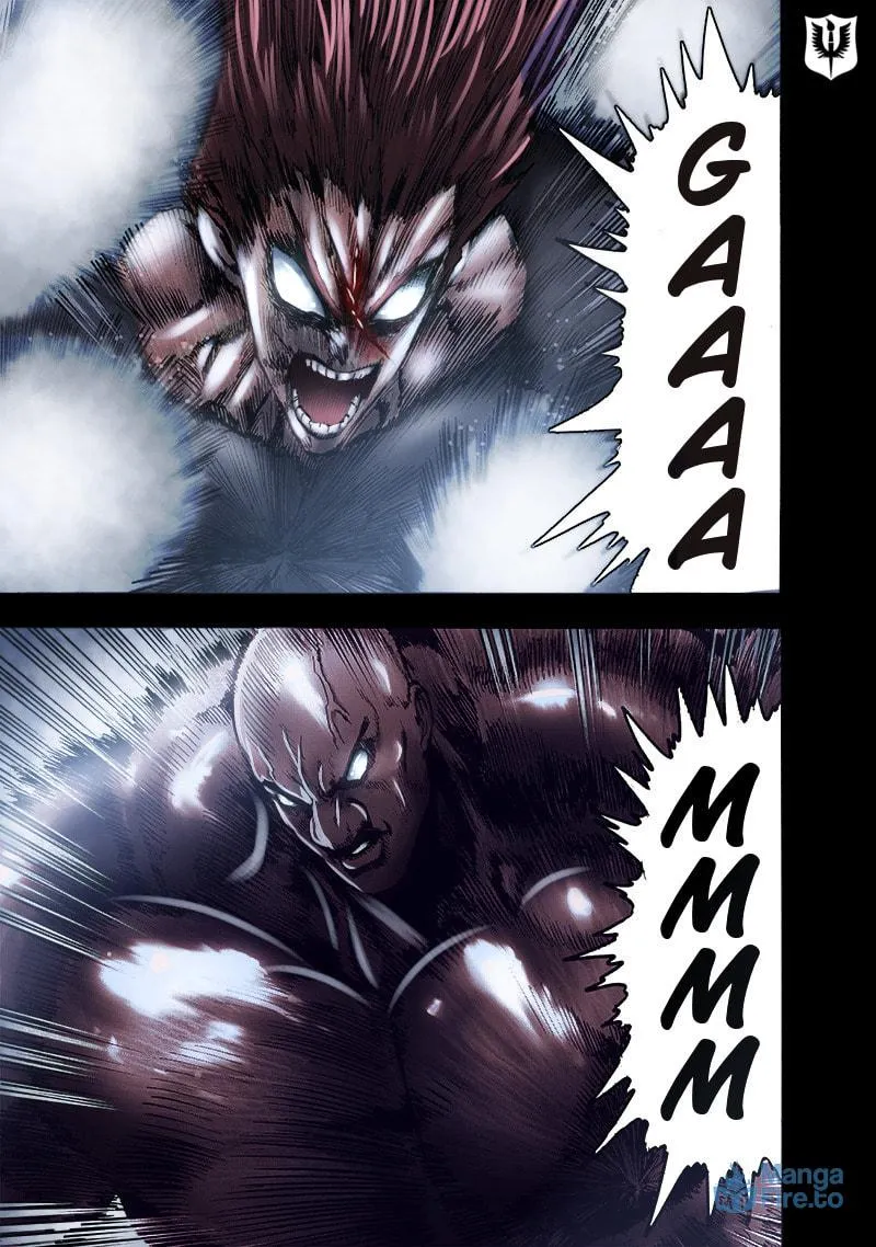 Read One-Punch Man (Fan Colored) (Colored) chapter 127 image 3 on Lezhin