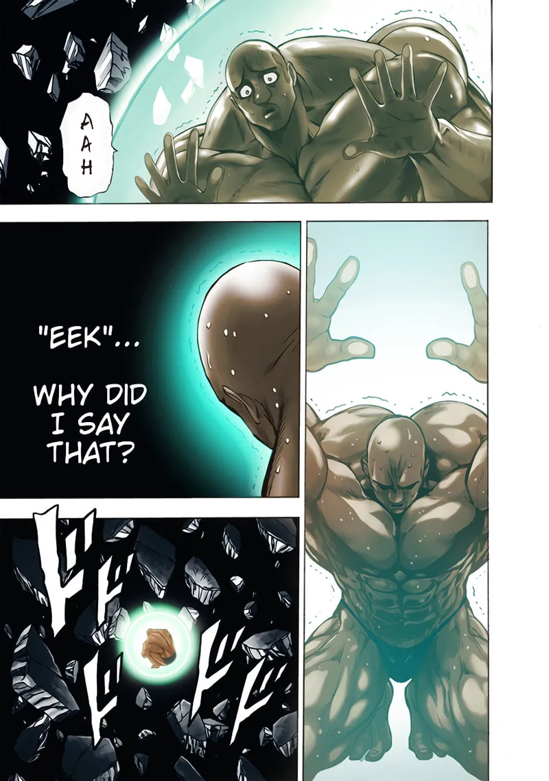 Read One-Punch Man (Fan Colored) (Colored) chapter 129 image 24 on Lezhin