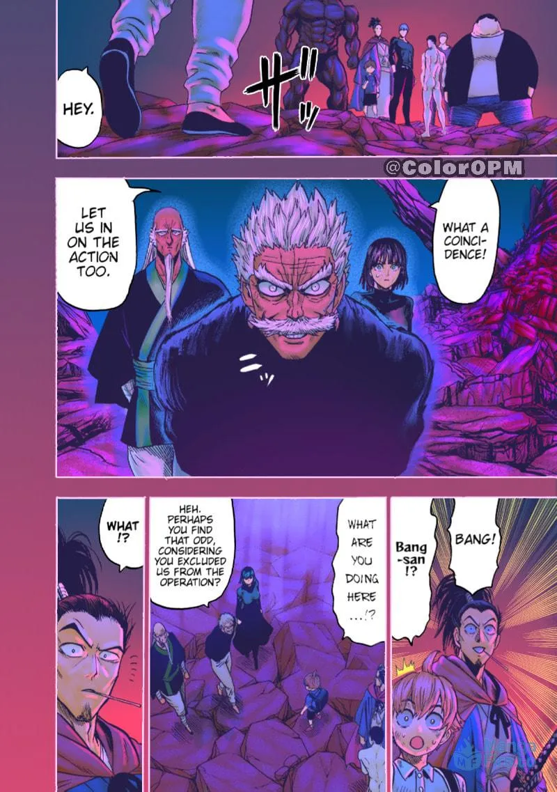 Read One-Punch Man (Fan Colored) (Colored) chapter 137 image 2 on Lezhin