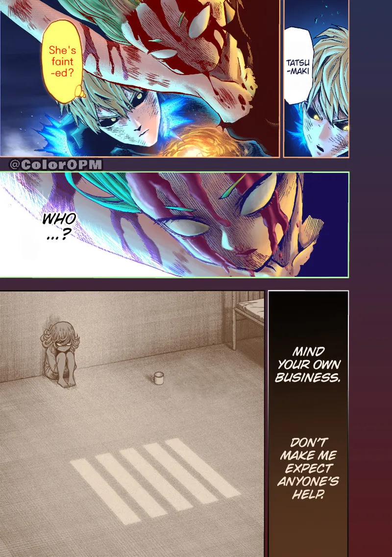 Read One-Punch Man (Fan Colored) (Colored) chapter 137 image 9 on Lezhin