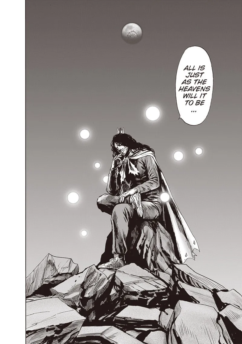 Read One-Punch Man (Fan Colored) (Colored) chapter 146 image 12 on Lezhin