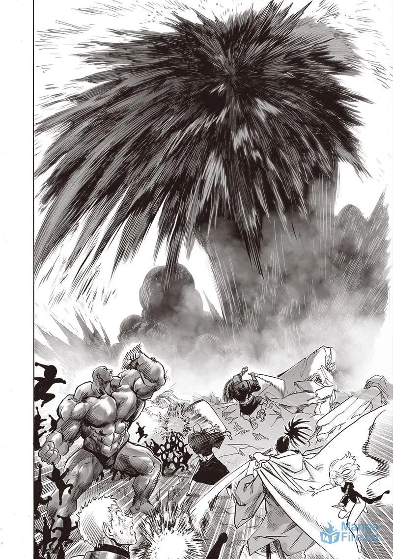Read One-Punch Man (Fan Colored) (Colored) chapter 147 image 8 on Lezhin