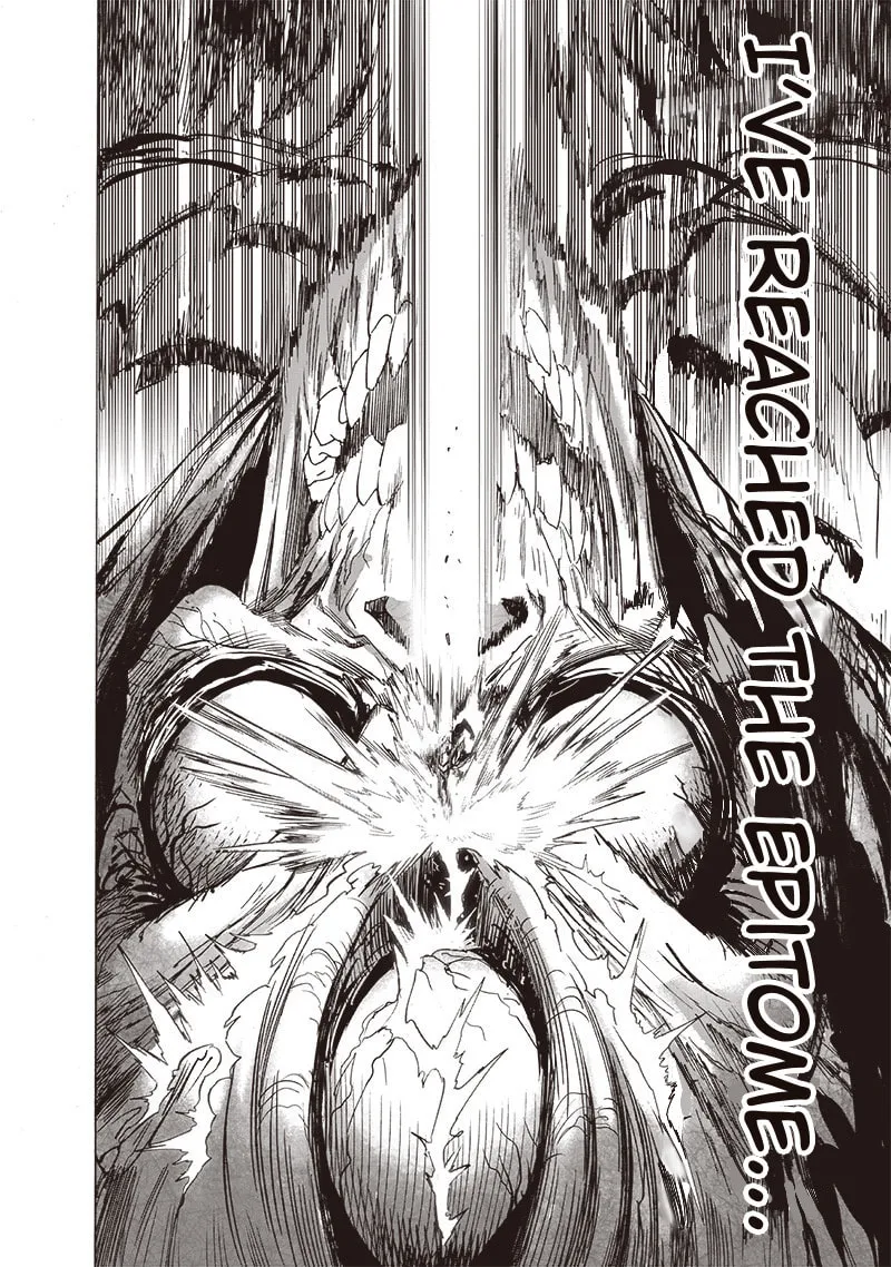 Read One-Punch Man (Fan Colored) (Colored) chapter 159 image 16 on Lezhin