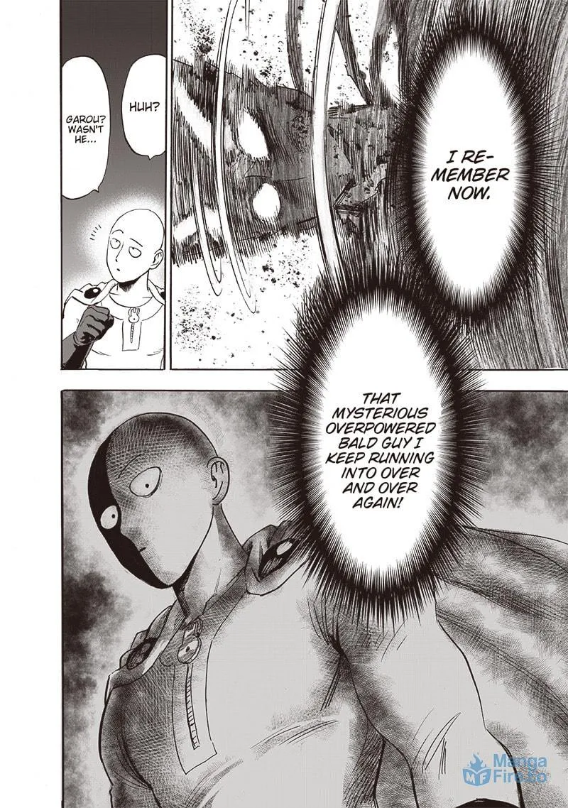 Read One-Punch Man (Fan Colored) (Colored) chapter 161 image 20 on Lezhin
