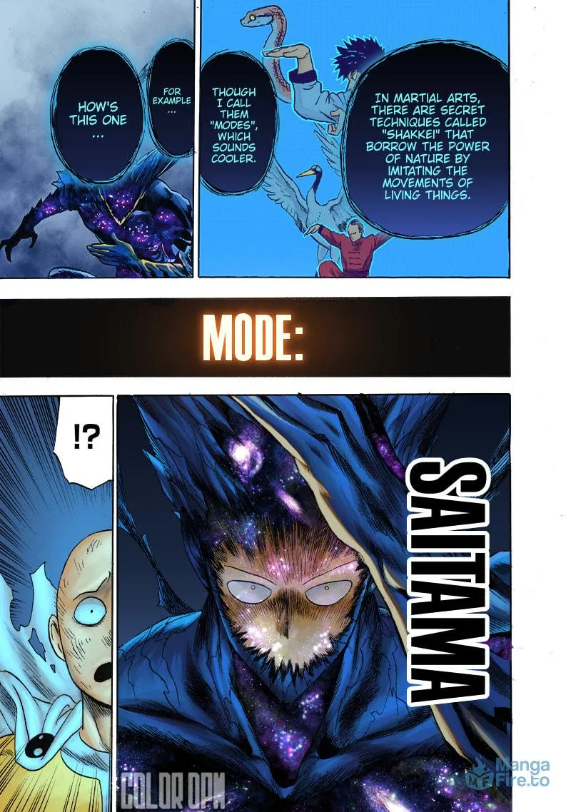 Read One-Punch Man (Fan Colored) (Colored) chapter 165.2 image 14 on Lezhin