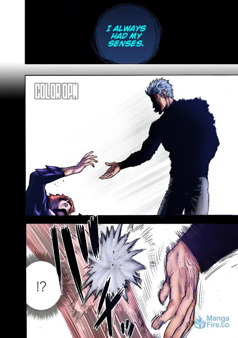 Read One-Punch Man (Fan Colored) (Colored) chapter 165.2 image 35 on Lezhin