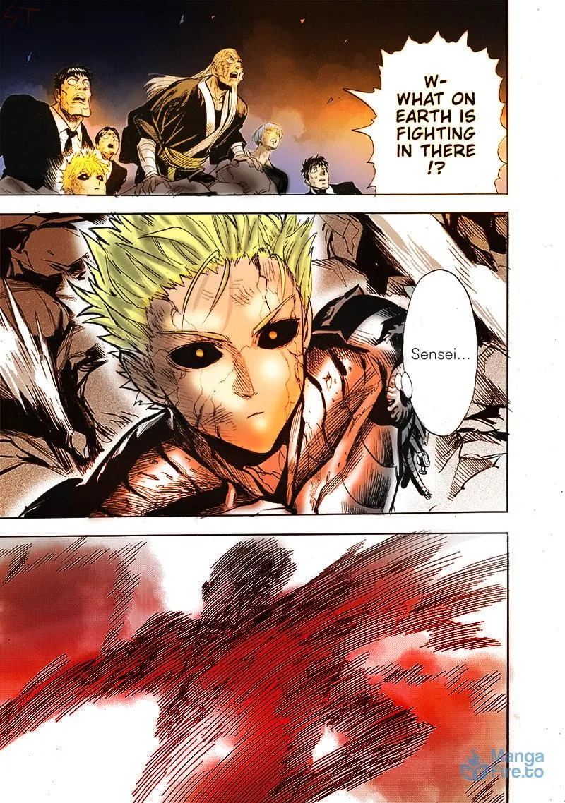 Read One-Punch Man (Fan Colored) (Colored) chapter 165 image 11 on Lezhin