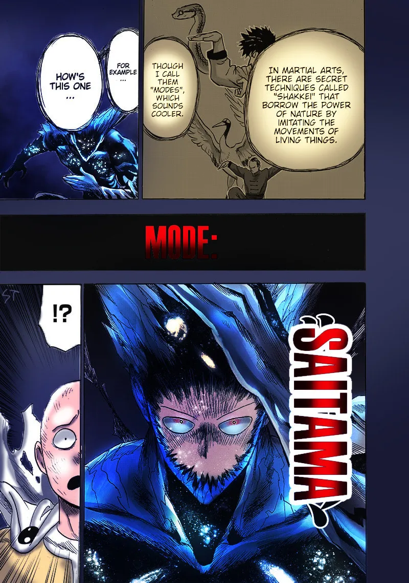 Read One-Punch Man (Fan Colored) (Colored) chapter 165 image 13 on Lezhin