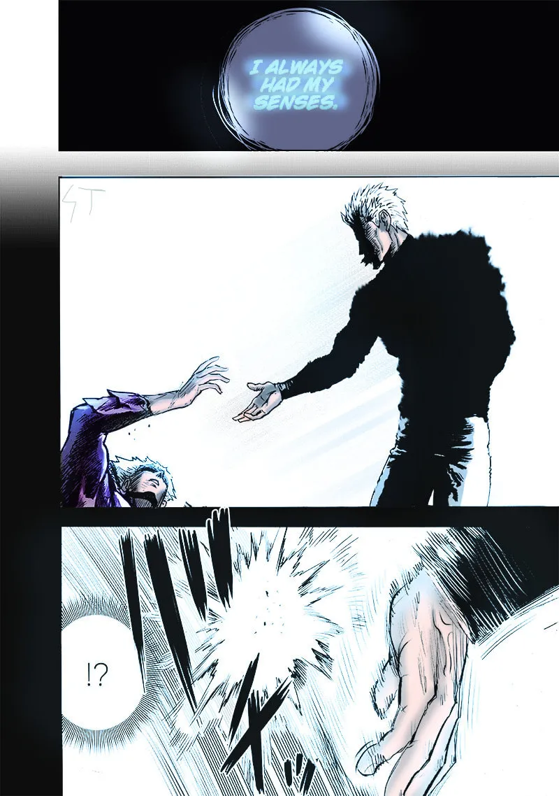 Read One-Punch Man (Fan Colored) (Colored) chapter 165 image 34 on Lezhin