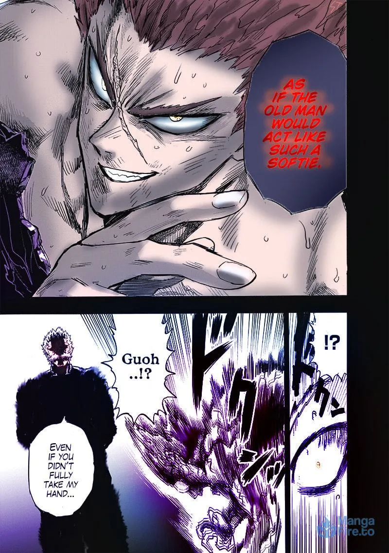 Read One-Punch Man (Fan Colored) (Colored) chapter 165 image 35 on Lezhin