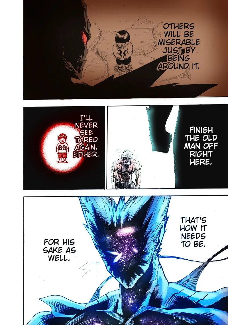 Read One-Punch Man (Fan Colored) (Colored) chapter 166 image 10 on Lezhin