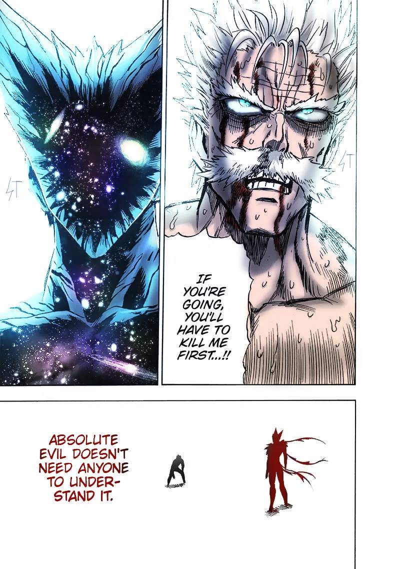 Read One-Punch Man (Fan Colored) (Colored) chapter 166 image 9 on Lezhin