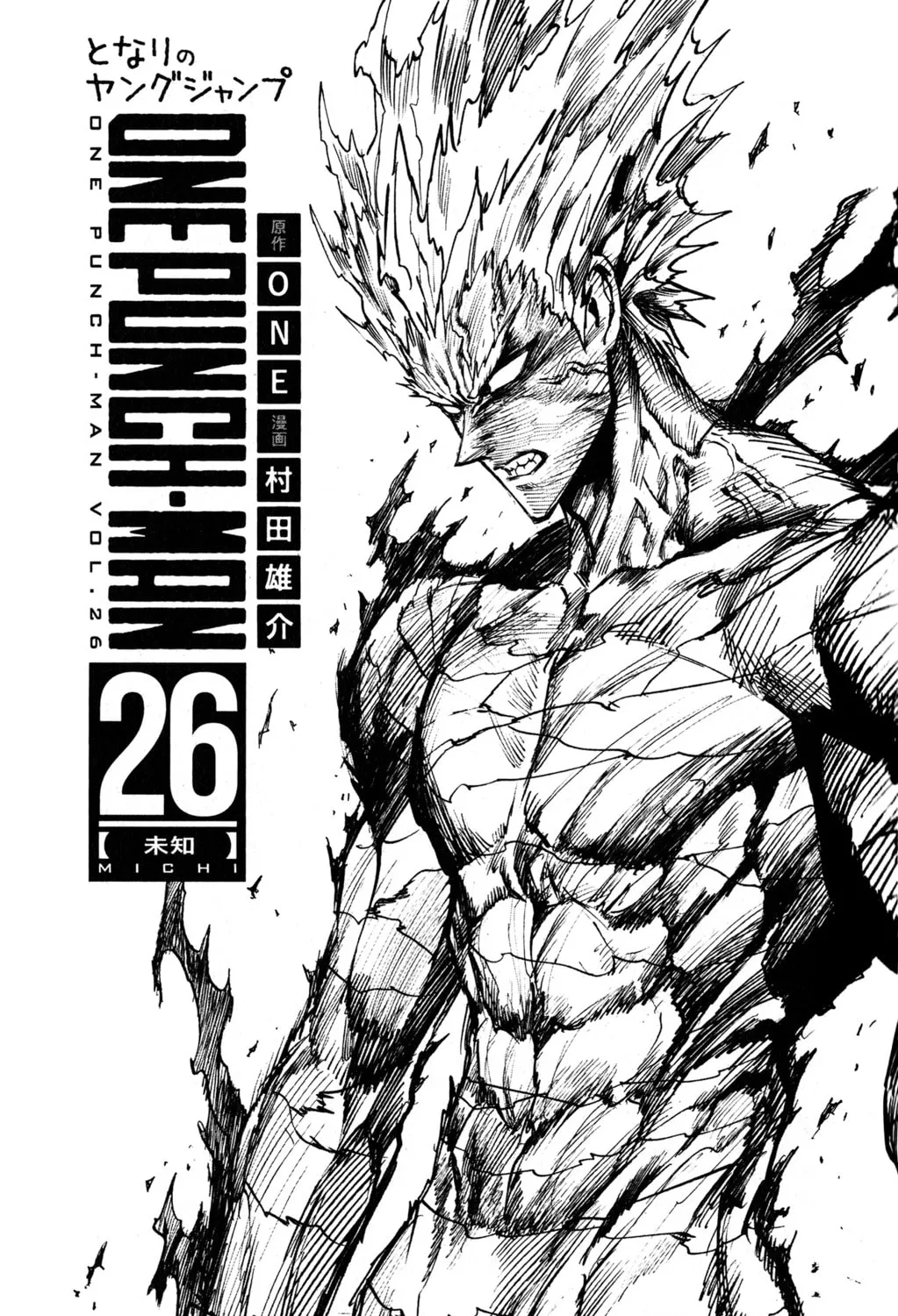 Read One-Punch Man (Fan Colored) (Colored) chapter 167.5 image 20 on Lezhin