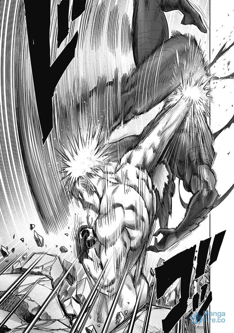 Read One-Punch Man (Fan Colored) (Colored) chapter 168 image 5 on Lezhin