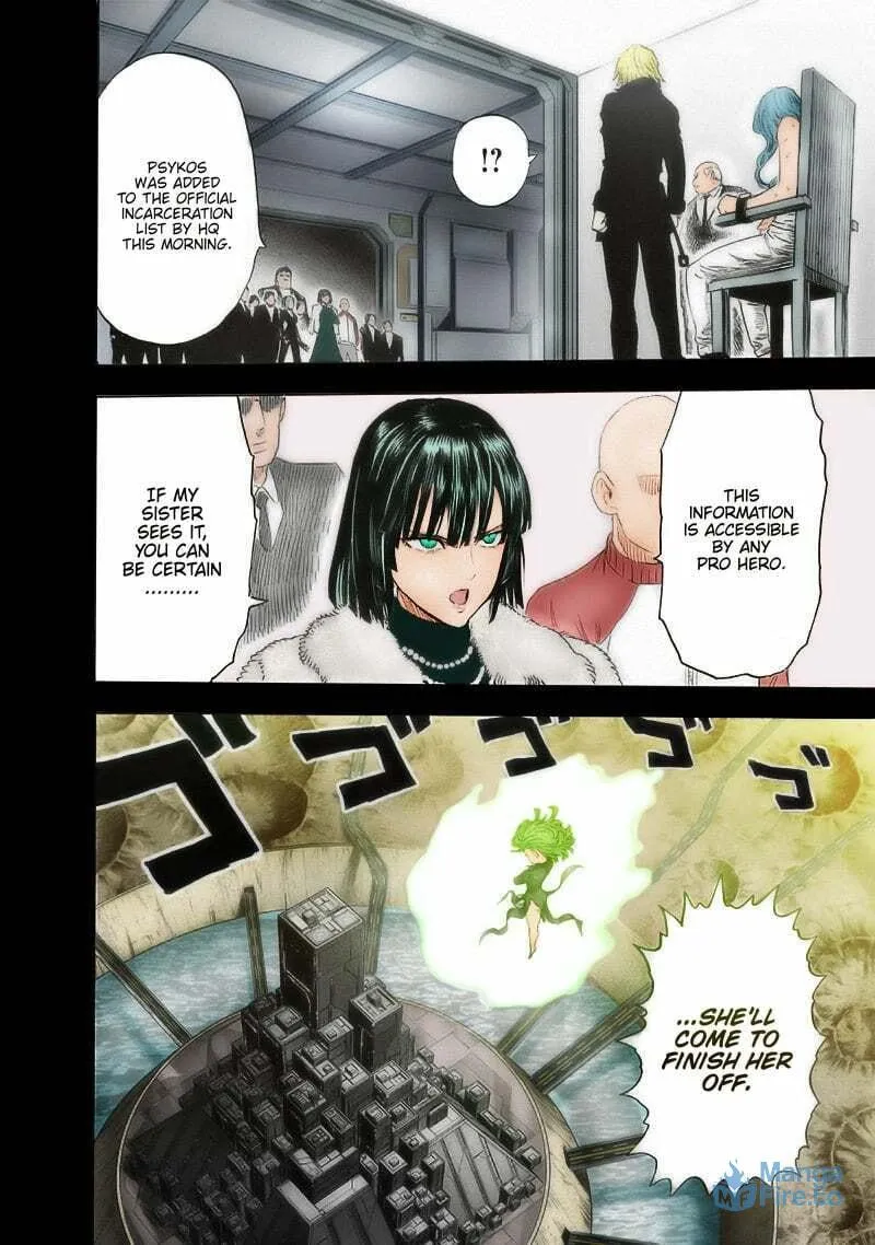 Read One-Punch Man (Fan Colored) (Colored) chapter 176 image 14 on Lezhin