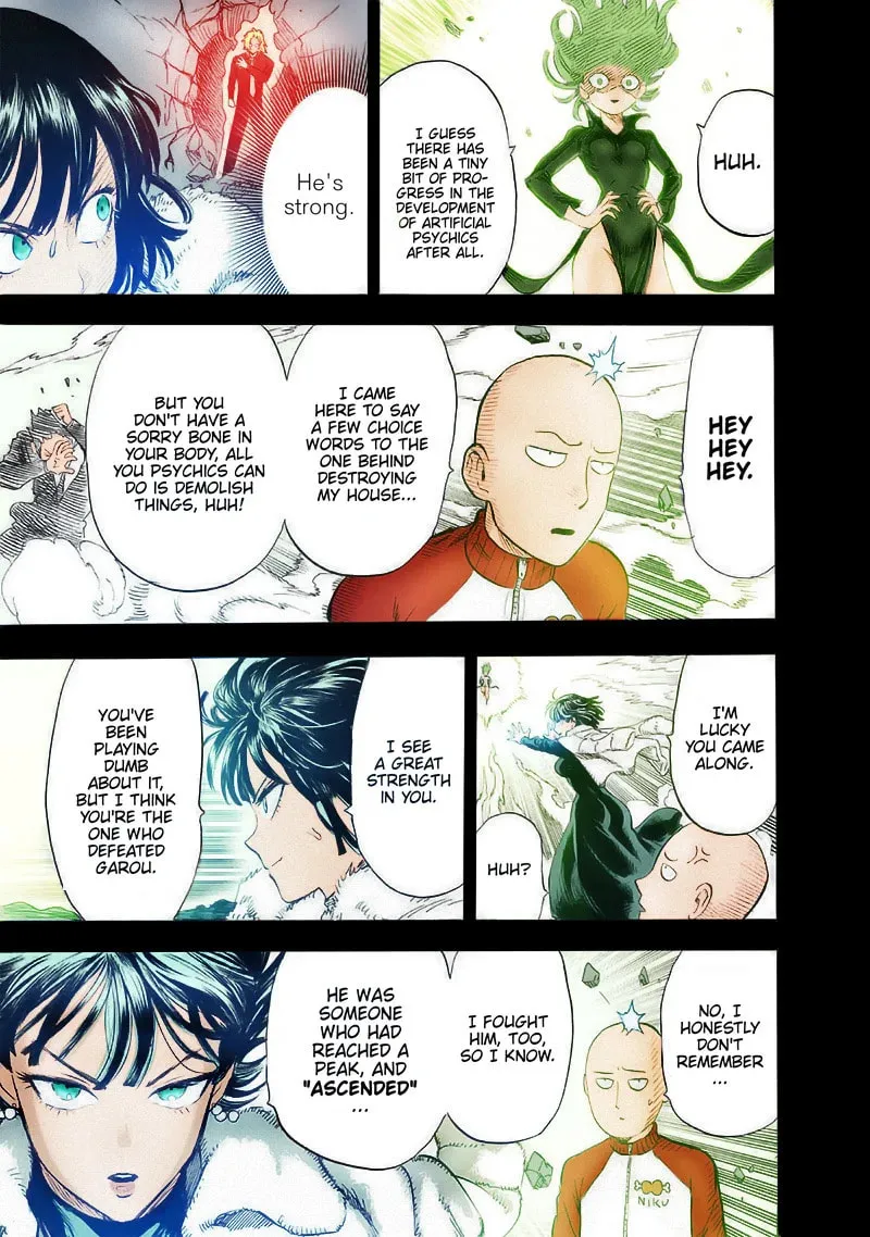 Read One-Punch Man (Fan Colored) (Colored) chapter 176 image 22 on Lezhin