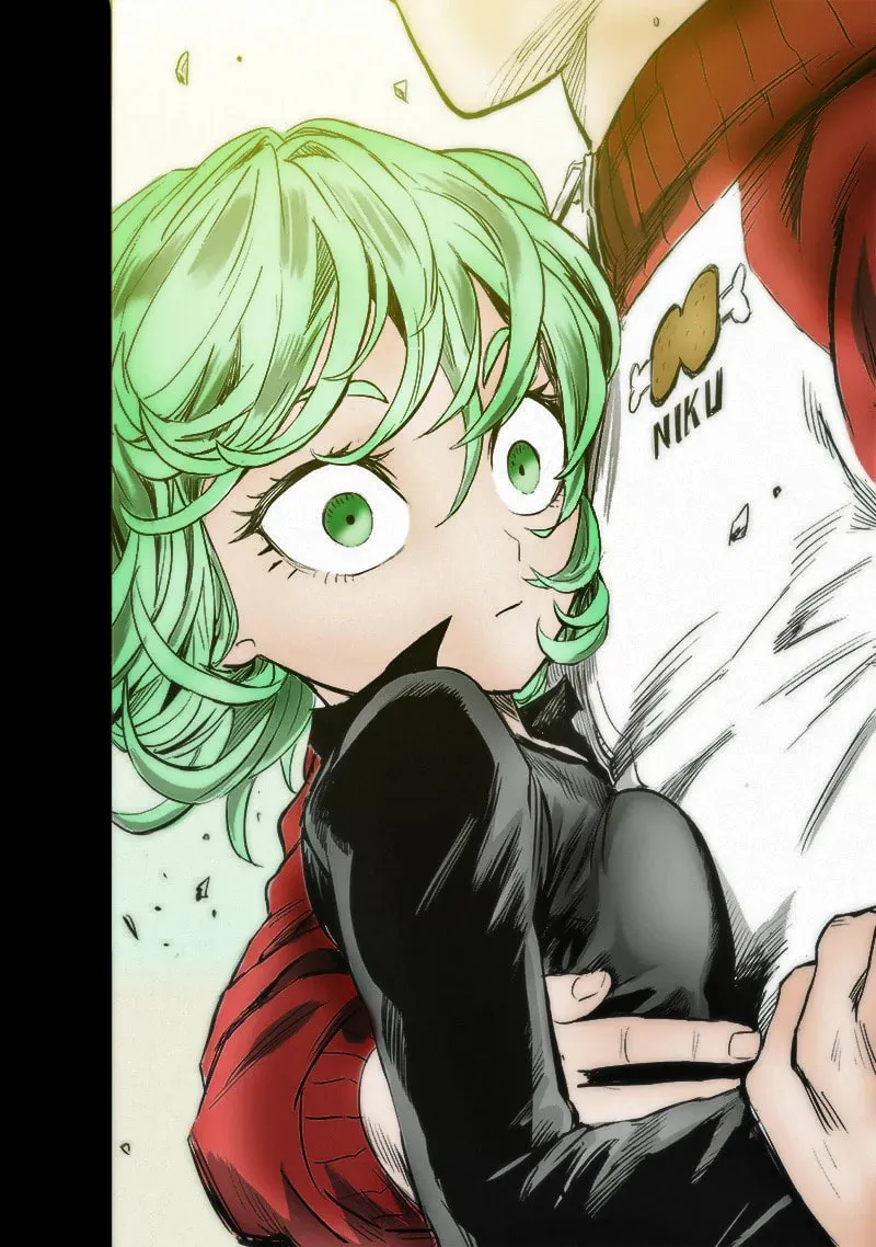 Read One-Punch Man (Fan Colored) (Colored) chapter 178 image 22 on Lezhin