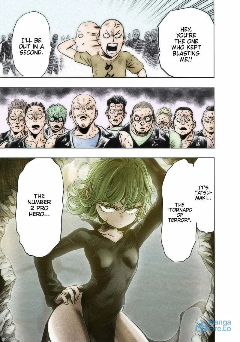 Read One-Punch Man (Fan Colored) (Colored) chapter 180 image 17 on Lezhin
