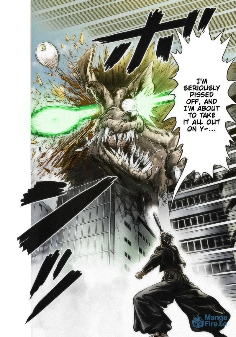 Read One-Punch Man (Fan Colored) (Colored) chapter 180 image 29 on Lezhin