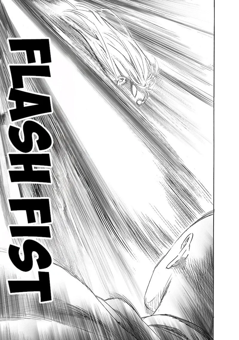 Read One-Punch Man (Fan Colored) (Colored) chapter 194 image 9 on Lezhin
