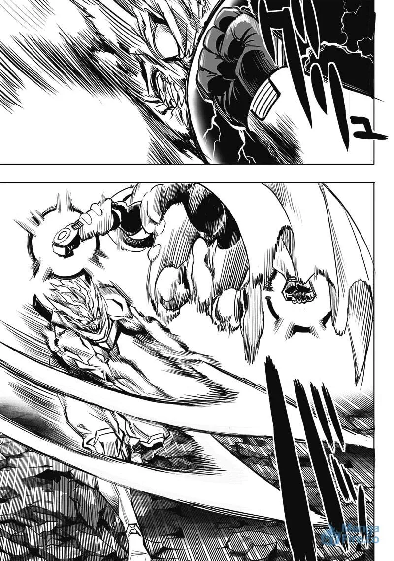 Read One-Punch Man (Fan Colored) (Colored) chapter 207 image 2 on Lezhin