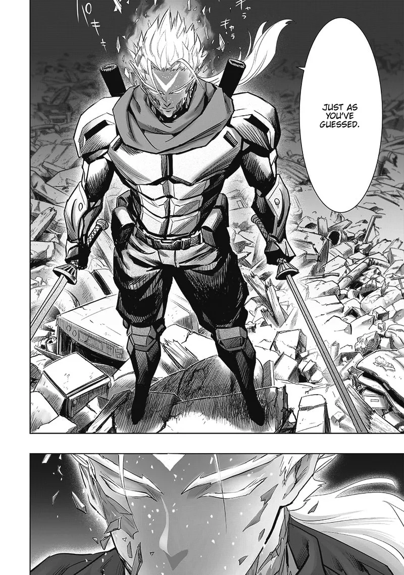 Read One-Punch Man (Fan Colored) (Colored) chapter 208 image 3 on Lezhin