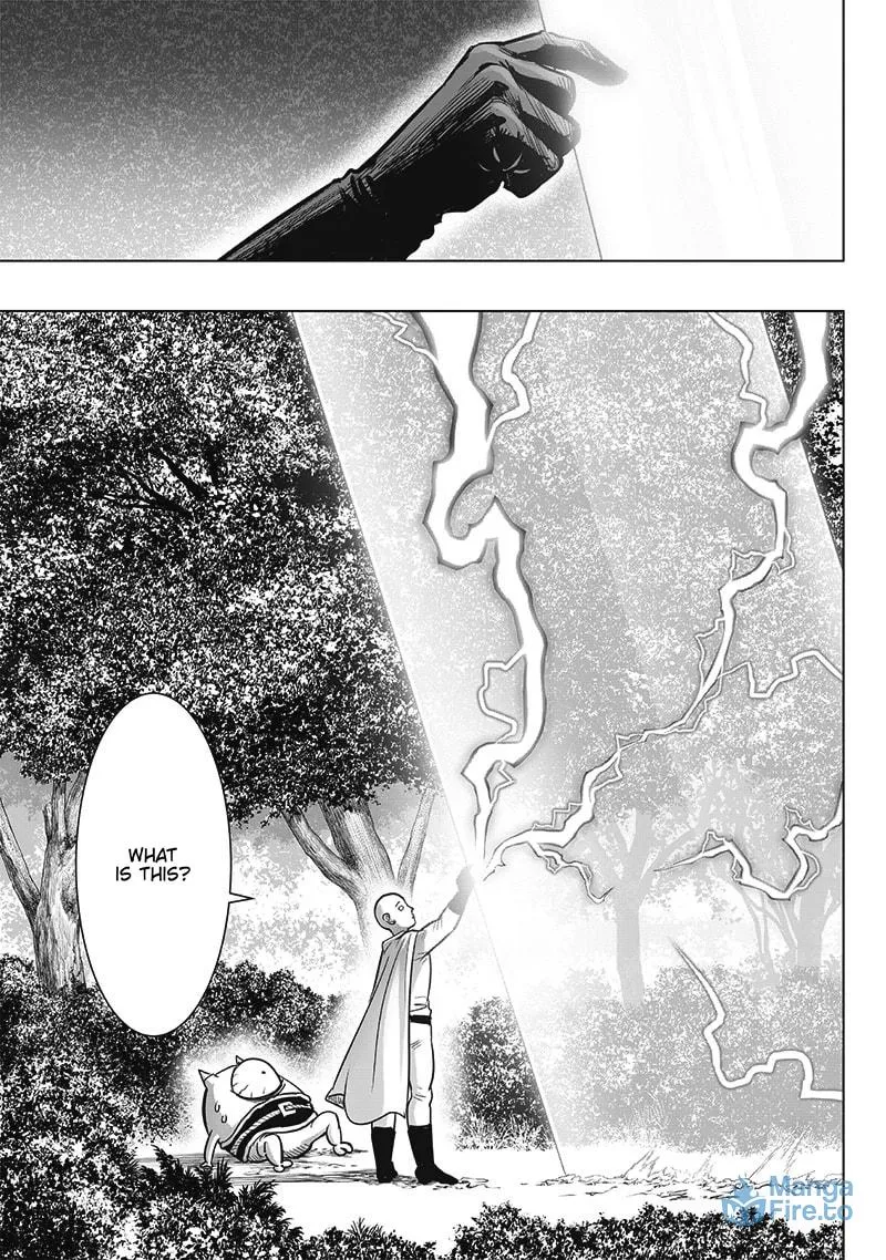 Read One-Punch Man (Fan Colored) (Colored) chapter 209 image 8 on Lezhin