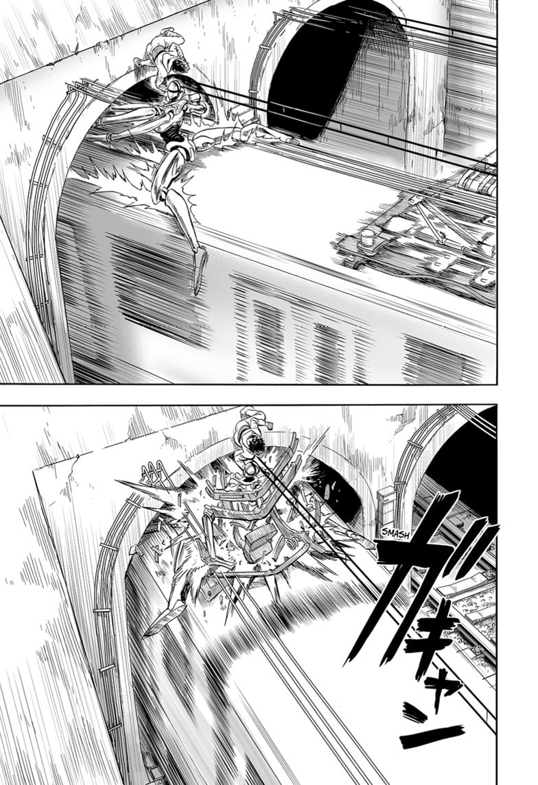 Read One-Punch Man (Fan Colored) (Colored) chapter 229 image 5 on Lezhin