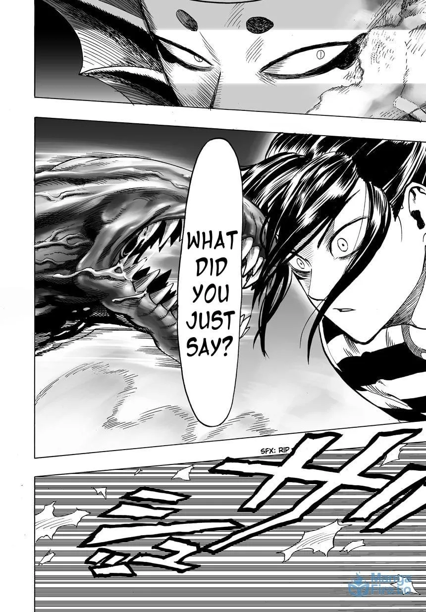 Read One-Punch Man (Fan Colored) (Colored) chapter 25 image 29 on Lezhin