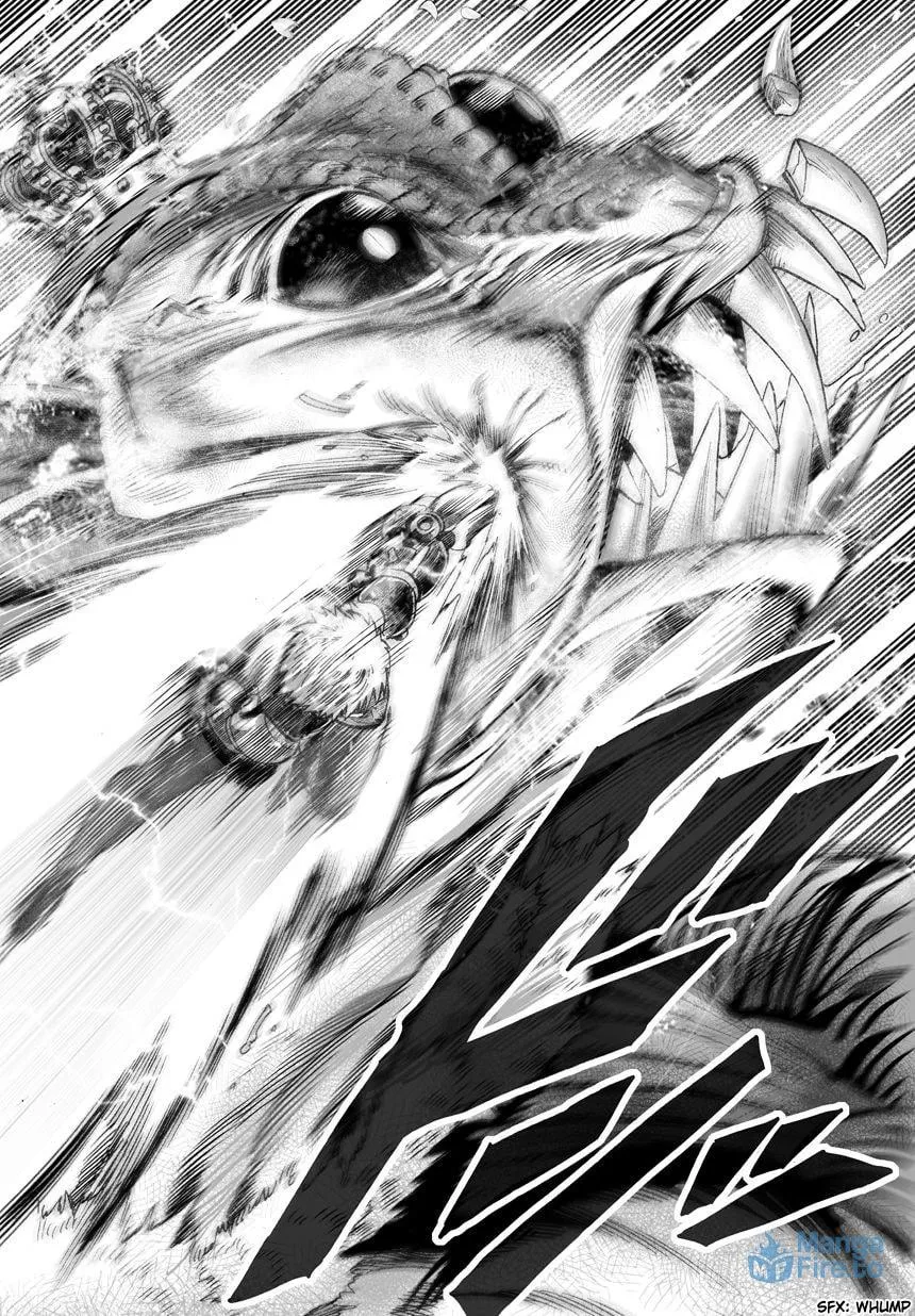 Read One-Punch Man (Fan Colored) (Colored) chapter 26 image 11 on Lezhin