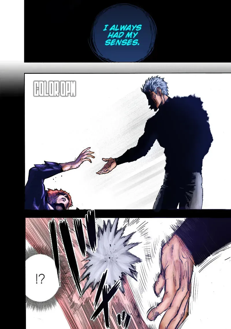 Read One-Punch Man (Fan Colored) (Colored) chapter 3.4 image 35 on Lezhin