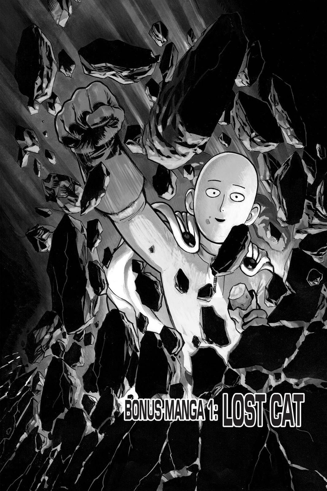 Read One-Punch Man (Fan Colored) (Colored) chapter 40.1 image 0 on Lezhin