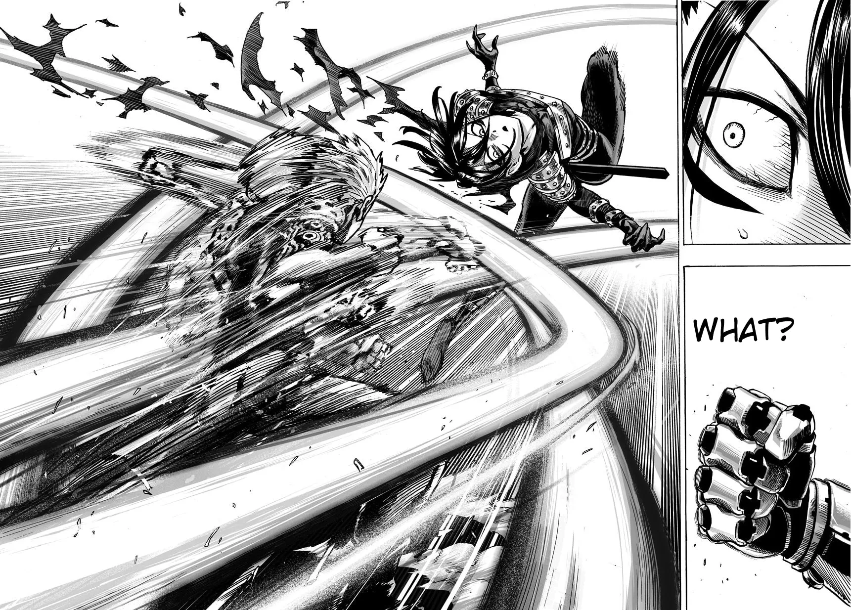 Read One-Punch Man (Fan Colored) (Colored) chapter 44 image 5 on Lezhin
