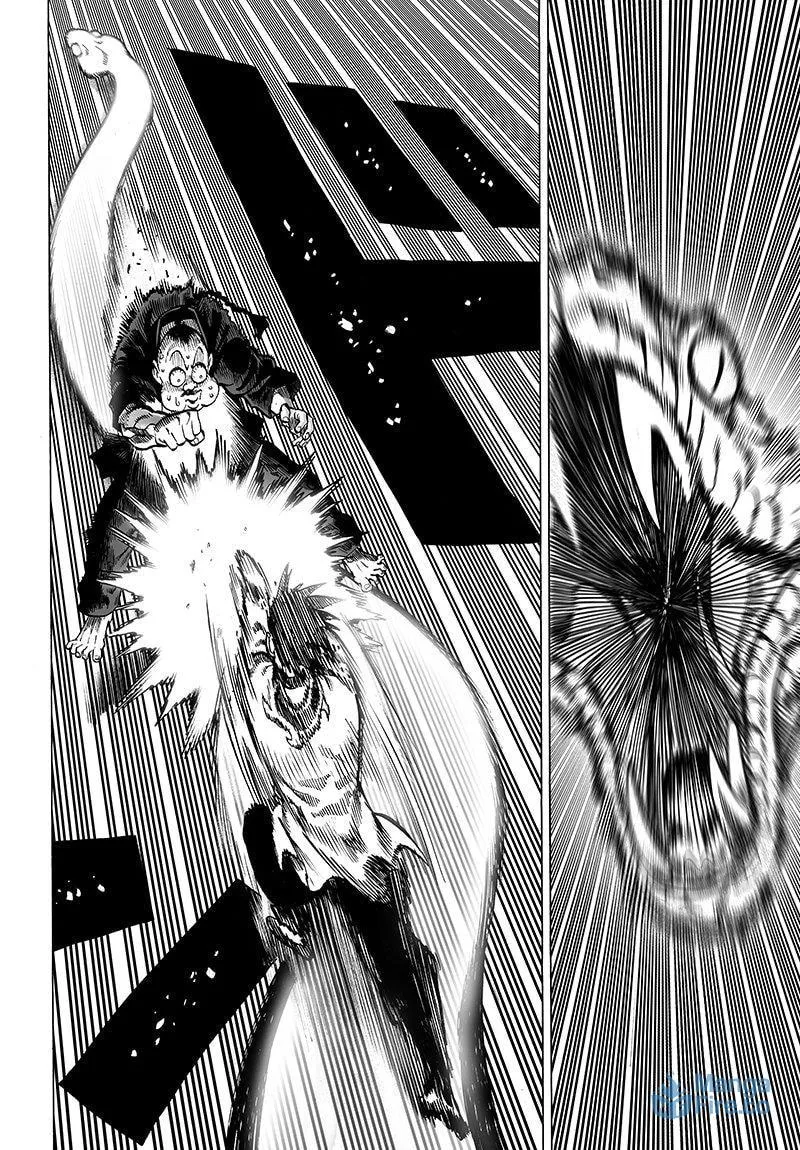 Read One-Punch Man (Fan Colored) (Colored) chapter 63 image 5 on Lezhin