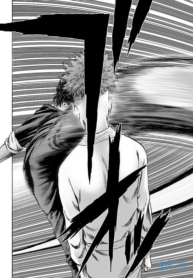 Read One-Punch Man (Fan Colored) (Colored) chapter 70 image 5 on Lezhin