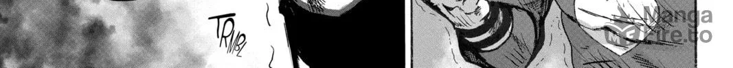 Read One-Punch Man (Official) chapter 110 image 29 on Lezhin