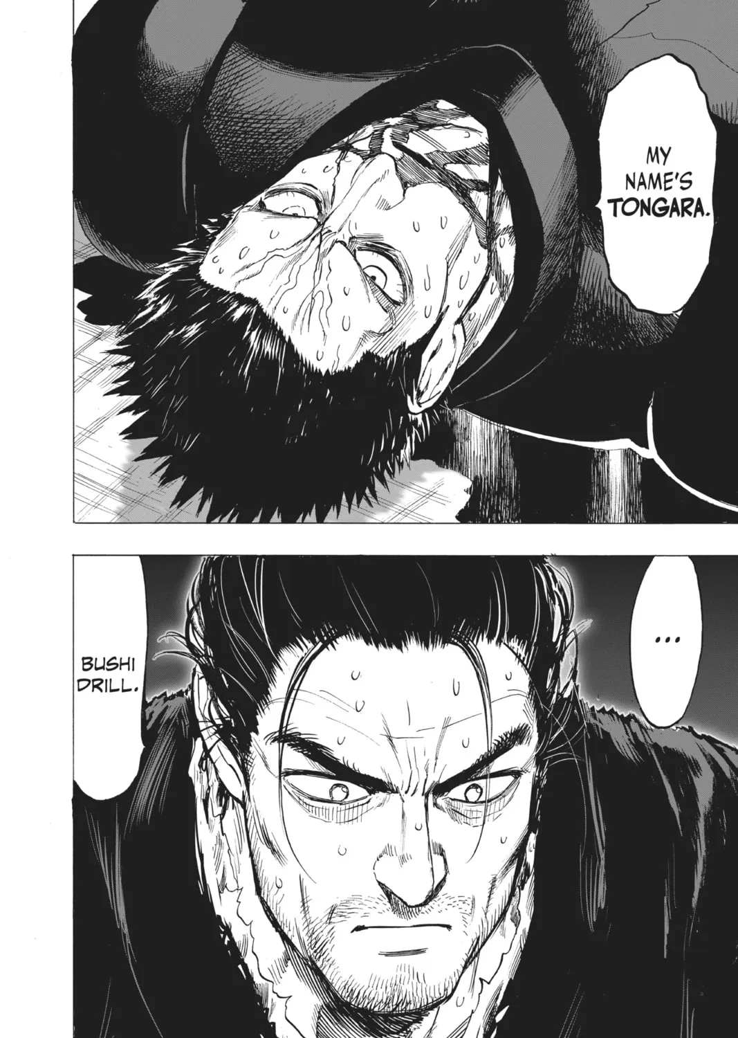 Read One-Punch Man (Official) chapter 113 image 42 on Lezhin
