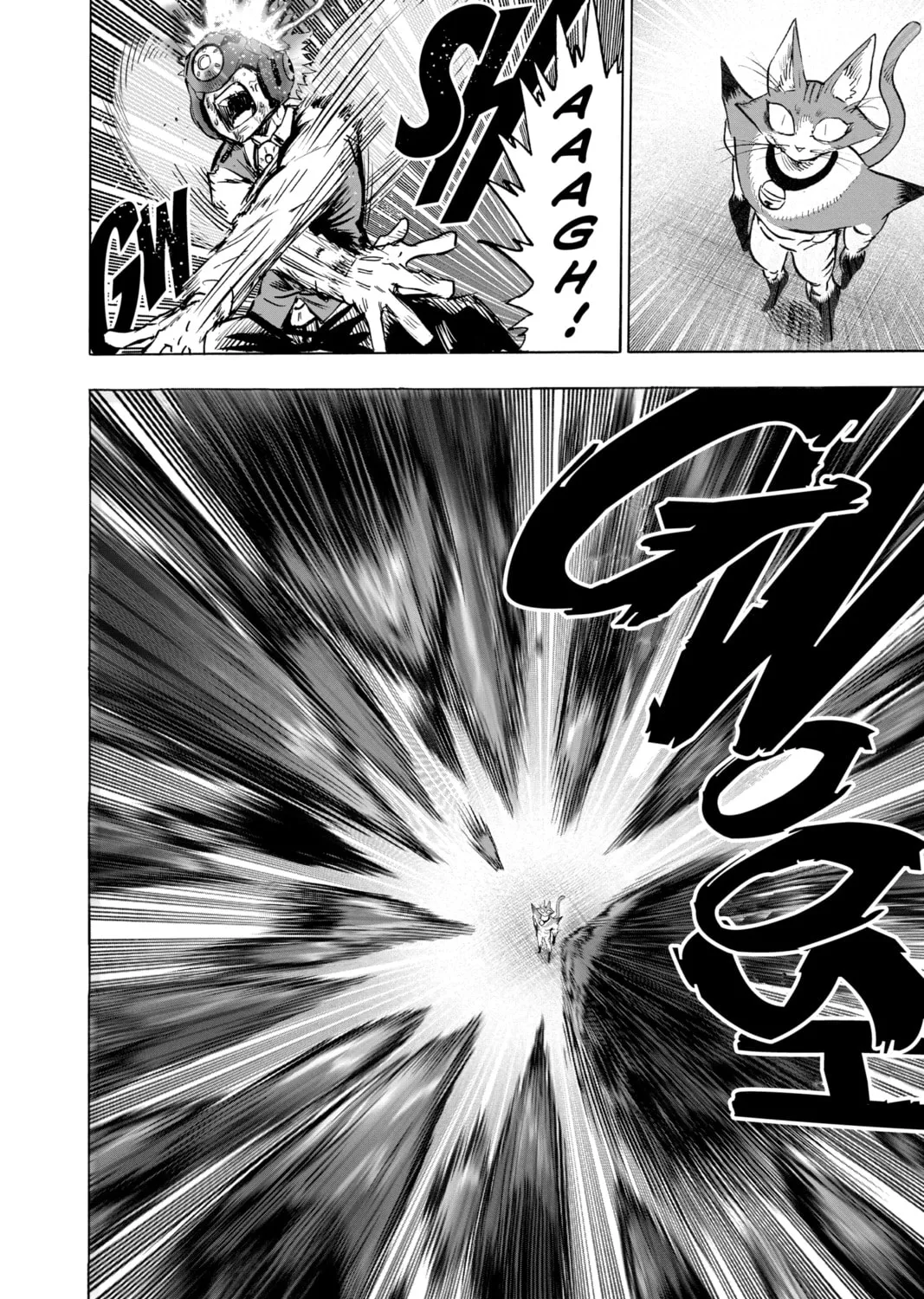 Read One-Punch Man (Official) chapter 121 image 12 on Lezhin