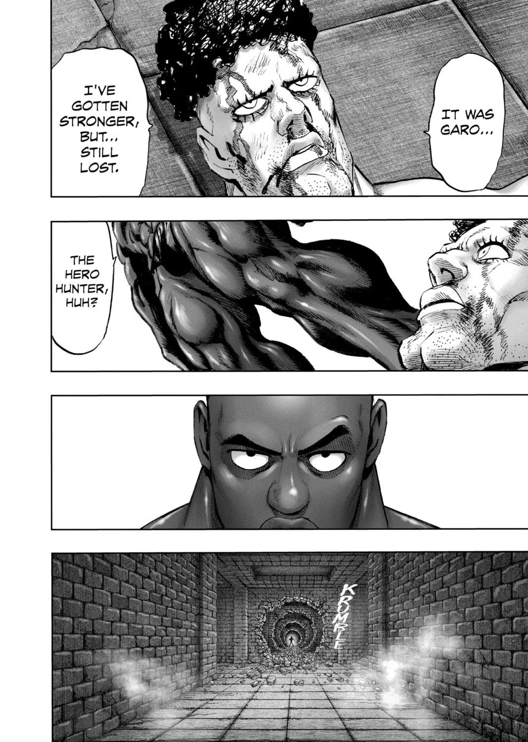 Read One-Punch Man (Official) chapter 125 image 8 on Lezhin