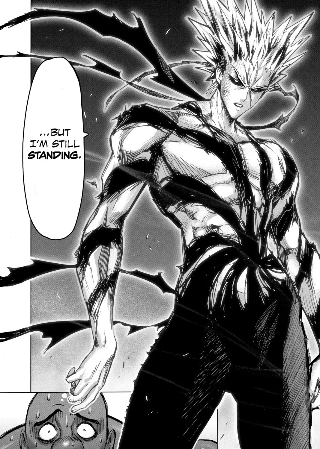 Read One-Punch Man (Official) chapter 133 image 12 on Lezhin