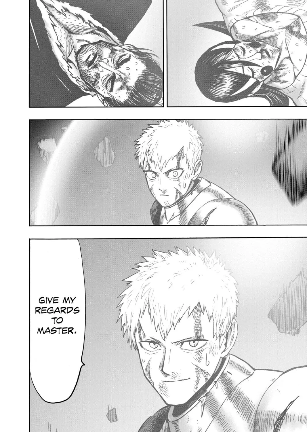 Read One-Punch Man (Official) chapter 134 image 10 on Lezhin