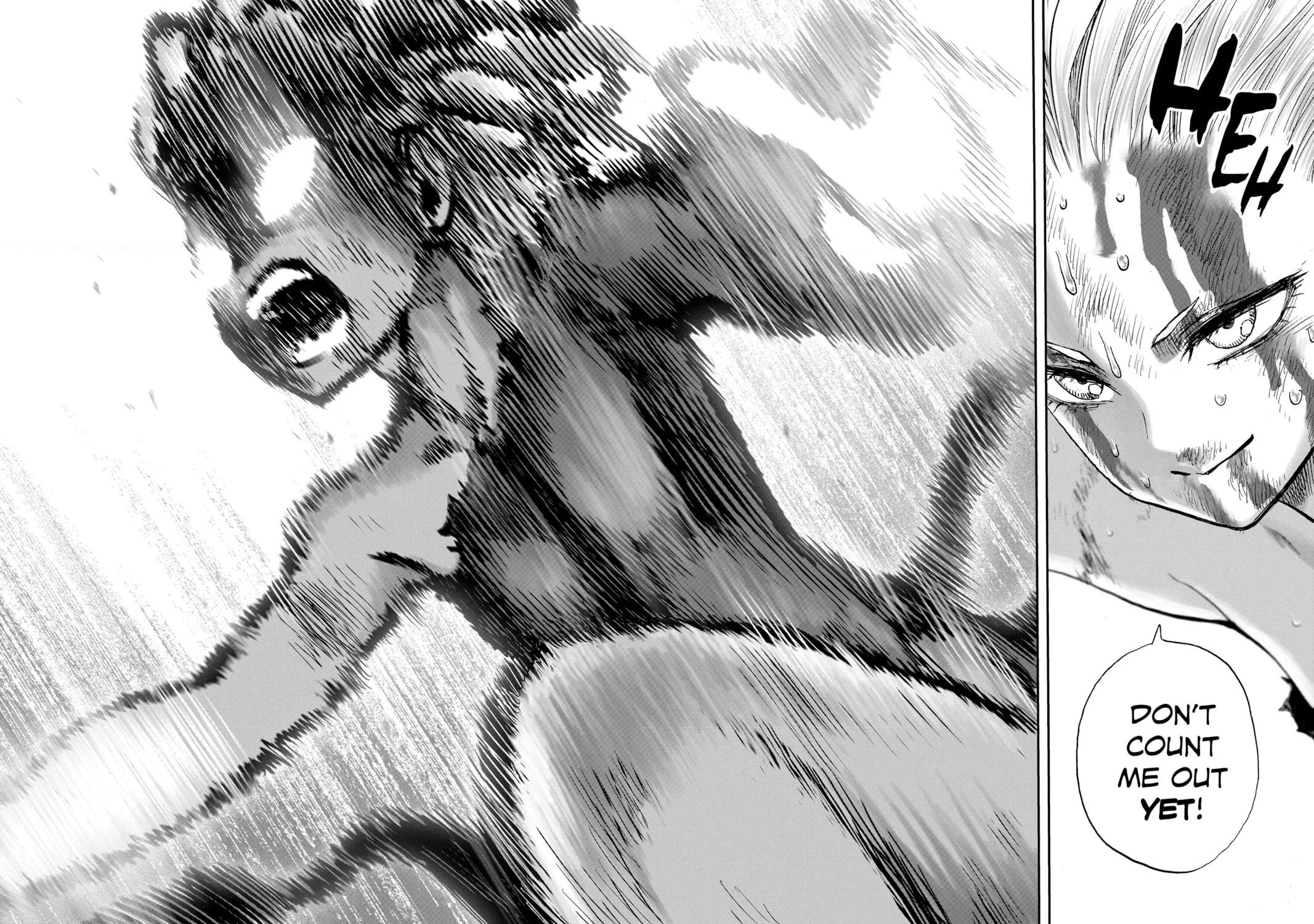Read One-Punch Man (Official) chapter 142 image 42 on Lezhin
