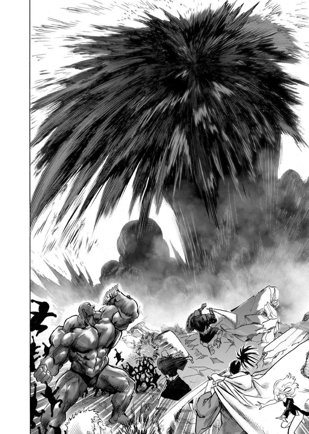 Read One-Punch Man (Official) chapter 152 image 14 on Lezhin